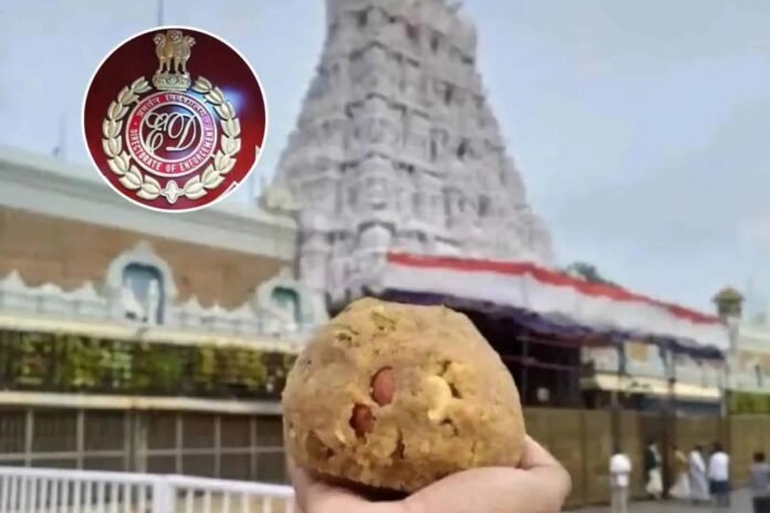 Tirupati Laddu: তিরুপতির পবিত্র প্রসাদে ভেজাল ঘি ব্যবহারের অভিযোগে ইডির বড় পদক্ষেপ