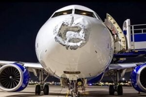 Lightning Hits IndiGO Flight: ১৭ হাজার ফুট উঁচুতে বিমানে বাজ পড়ে তুবড়ে গেল নাক, লখনউতে রক্ষা পেল ইন্ডিগো।
