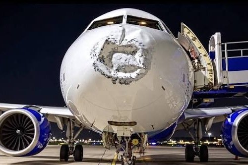 Lightning Hits IndiGO Flight: ১৭ হাজার ফুট উঁচুতে বিমানে বাজ পড়ে তুবড়ে গেল নাক, লখনউতে রক্ষা পেল ইন্ডিগো।